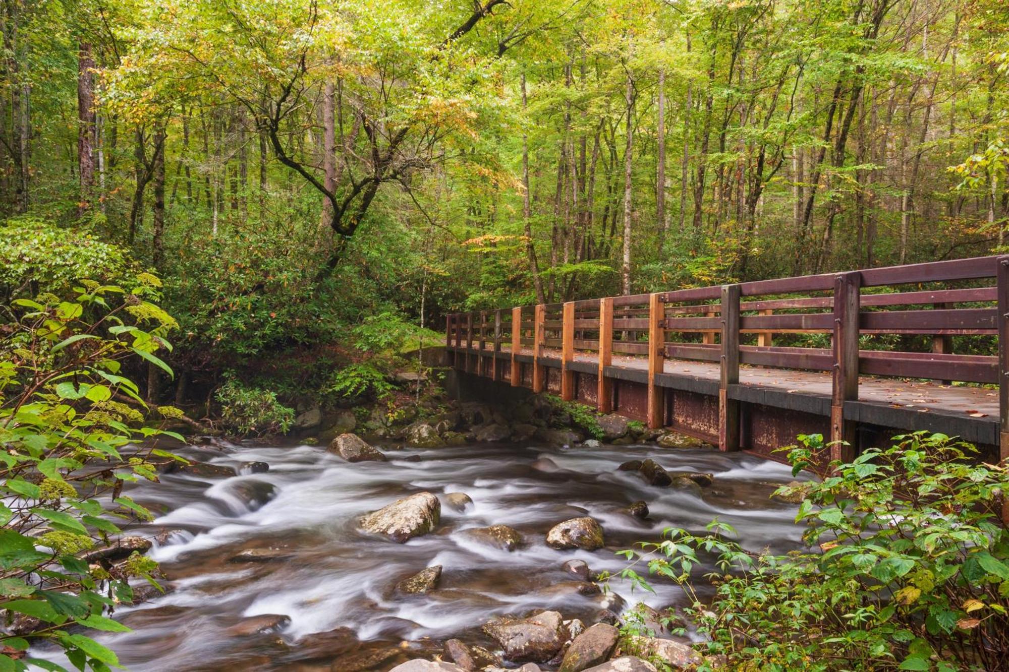 Mountain Lake Lodge, Hot Tub, Theater Room, 1089 Free Tickets Each Paid Day, Dollywood And More Sevierville Exterior foto